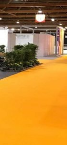 Dubai Exhibition Red Carpet