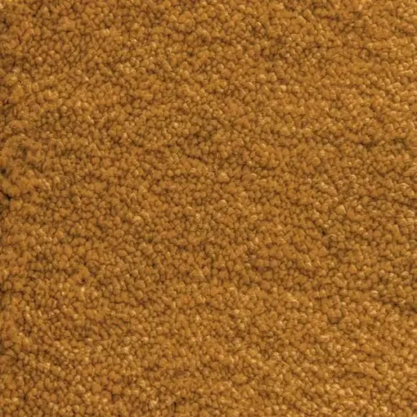 Ochre 50