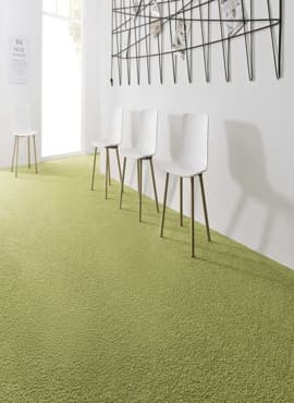 Premium Wall-to-Wall Carpet