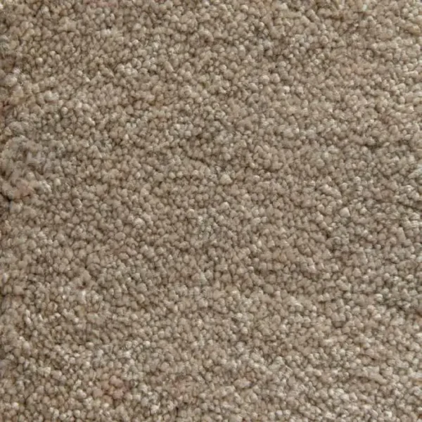 Sand 71