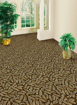 Top-Quality Wall-to-Wall Carpet