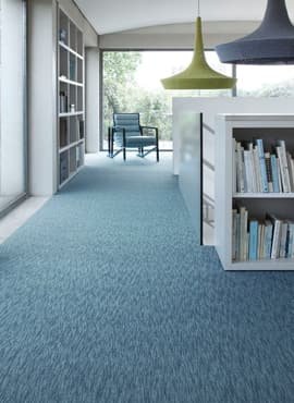 Wall to Wall Carpet