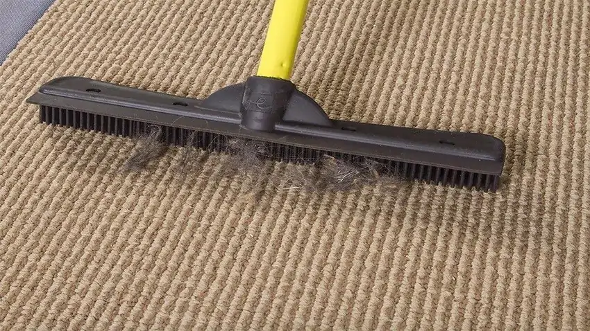 Squeegee For Pet Hair Removal