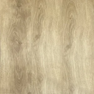 LVT 551