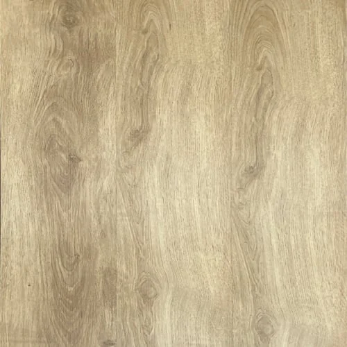 LVT 556