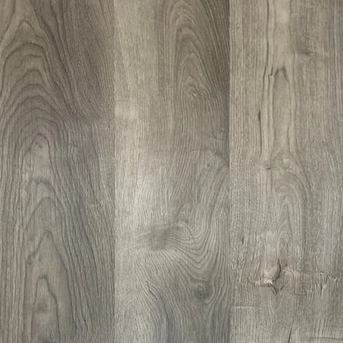 LVT 557