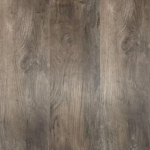 LVT 558