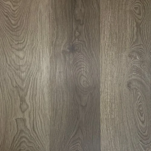 LVT 559