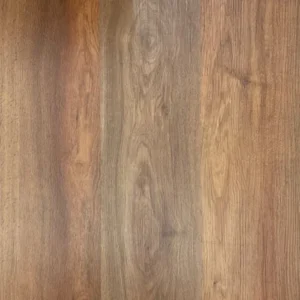 LVT 560