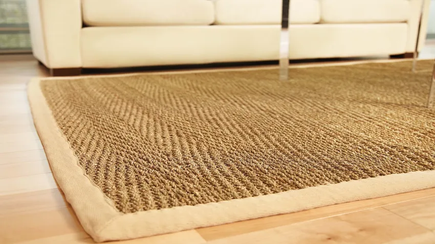 What Are Sisal Carpets A Complete Beginner’s Guide