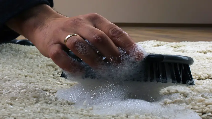 Dish Soap carpet clean