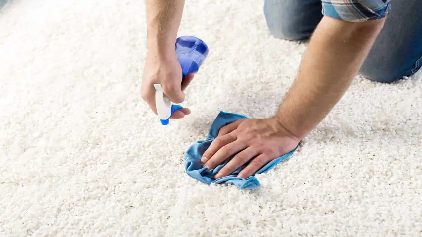 Latest Household Ways To Clean Carpet