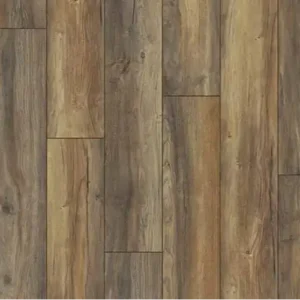 Harbour-Oak