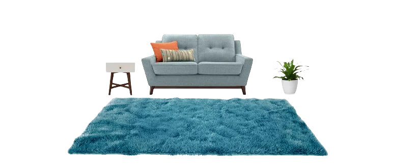 Living Room Carpets