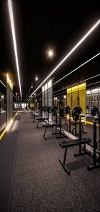 Elegant Gym Flooring in UAE